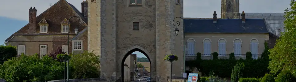 Professionnels à Saint-Martin-des-Champs