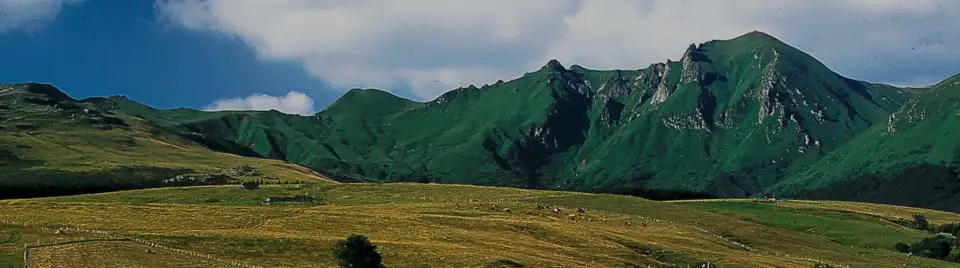 Boulangeries-pâtisseries en Auvergne