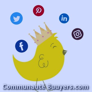 Logo C-com Conseils (sas) Marketing digital