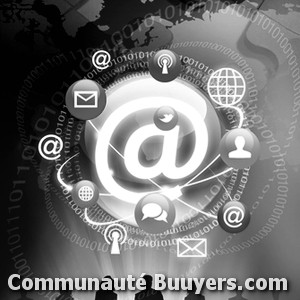 Logo Expert Viseo E-commerce