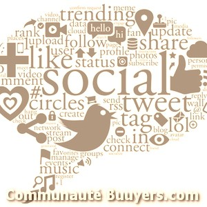 Logo My Social Branding E-commerce