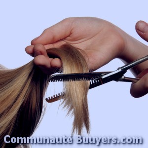Logo Hair Coupe Folie Coiffure à domicile