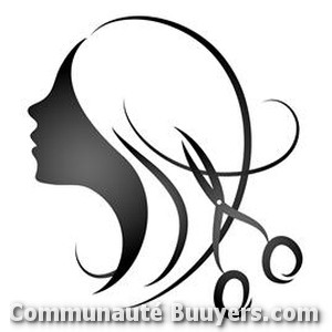Logo Nouvel'Hair Coiffure à domicile