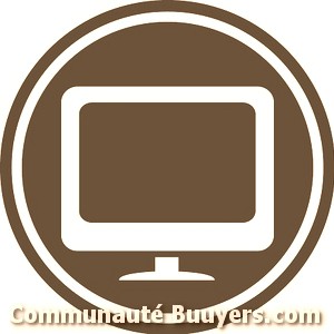 Logo Digital Stores.com