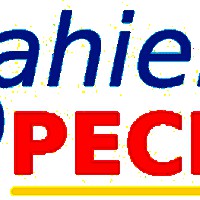 Logo Bahier Pecem Domotique