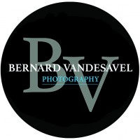 Logo BV.Photography