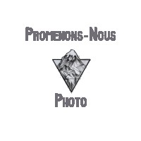 Logo Promenons-Nous Photo