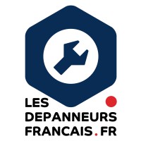 Logo Lesdepanneursfrancais.fr