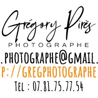 Logo Photographe Professionnel 