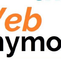 Logo Webanymous Agence Seo Google