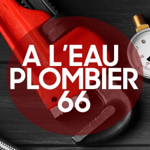 Expertise avis de Plombier66